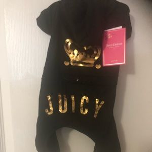 Juicy Couture pet tracksuit